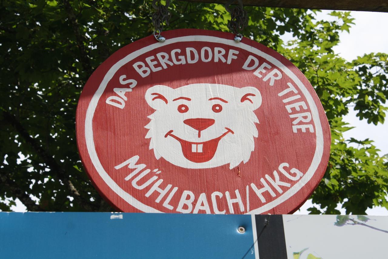 Muehlbach Alpendomizil II Apartment Mühlbach am Hochkönig Екстериор снимка