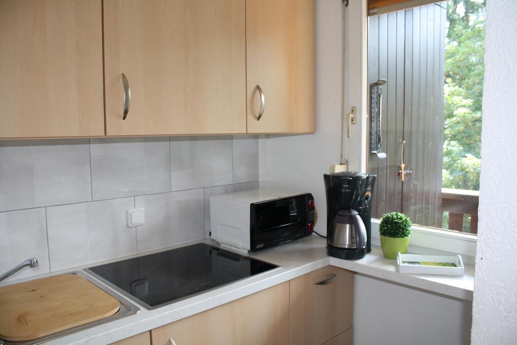 Muehlbach Alpendomizil II Apartment Mühlbach am Hochkönig Стая снимка