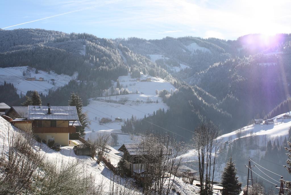 Muehlbach Alpendomizil II Apartment Mühlbach am Hochkönig Екстериор снимка