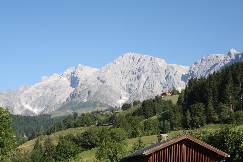 Muehlbach Alpendomizil II Apartment Mühlbach am Hochkönig Екстериор снимка